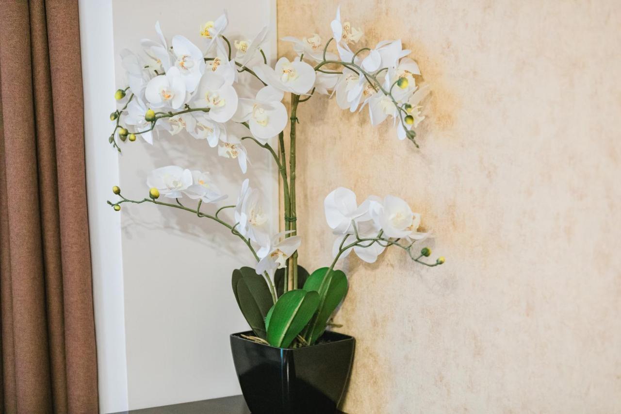 Seasons Atmosphere Studio Braşov Exterior foto